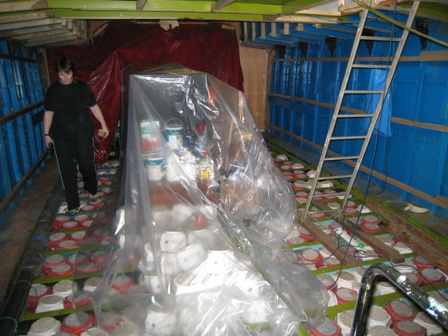 Spray foam